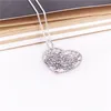 Boom of Love Ketting Authentiek 925 Sterling Zilver met Clear Cubic Zirconia DIY Fijne Sieraden Neclklace 396582NMX Ketting