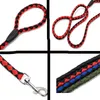 Laisse en nylon robuste pour chiens de petite, moyenne et grande taille – Corde en nylon durable et épaisse, longueur 150 cm et diamètre 1,2 cm, 4 couleurs au choix