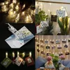 10 LEDs Po Picture Clips String Lights Wall Decoration Light Wedding Party Christmas Home Decor Lights for Hanging Pos Paint8348282