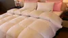 Comforters & Sets Wholesale- Duvet Quilt Blanket Comforter 95% Down From European King--Top Grade Worldwide El Bedding1