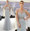 Gray Tulle Mermaid Long Prom Dresses Sheer Crew Neck Major Beaded Crystals Feather Formal Party Evening Dresses 100% Real Image CPS1177