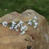 كانليتي عالية 500 قطعة / الوحدة لطيفة gypsophila الاصطناعي زهور الرئيسية حفل زفاف الديكور ديكور المنزل الزهور T2I086