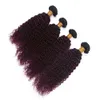 Peruvian vin röd ombre mänskliga hår väftförlängningar 4pcs kinky curly # 1b / 99j burgundy ombre jungfru mänskligt hår väv buntar mörk rot