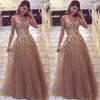 Tulle Long Elegant Appliqued Prom Dresses Sexy Spaghetti V Neck Lace Dress Evening Wear A Line Plus Size Formal Gowns