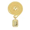 Collier Hip Hop pour hommes, bijoux plaqué or jaune 18 carats, pendentif avec étiquette de chien CZ, pour hommes et femmes, NL-458228v