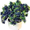 blauer bonsai baum