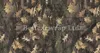 2018 Yeni Pembe Pembe Ambush Camo Vinil Wrap Araba Wrap Styling Hava Yayını Ile Yosunlu Meşe Ağacı Yaprak Çim Kamuflaj Sticker 1.52x30m Rulo 5x98ft