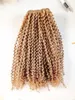 Top Quality Brazilian Kinky Curly Human Virgin Remy Hair Bundles Weft Beauty Extensions Dark Blonde Brown Color