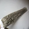 Verworrene lockige Remy Micro Loop-Haarverlängerungen, graue Farbe, lockige Mikroperlen-Haarverlängerungen, 100 g, 100s brasilianisches Humanhaar, Micro Boucle