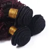 Schwarze und burgunderrote Ombre-Haarwebart, indisches Jungfrau-Haar, 3-teilig, verworrene lockige Haareinschlagverlängerungen # 1B/99J, Weinrot, Ombre-Menschenhaarwebart