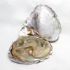 atacado 25color akoya pérola ostra redonda 6-8 mm de água doce natural cultura em fábrica de mexilhão de pérolas frescas de ostras