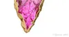 Pour les femmes collier arc-en-ciel couleur pierre de jade naturelle pendentif facile à transporter chaîne de bijoux exquis de haute qualité 12yg BB