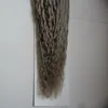 Verworrene lockige Remy Micro Loop-Haarverlängerungen, graue Farbe, lockige Mikroperlen-Haarverlängerungen, 100 g, 100s brasilianisches Humanhaar, Micro Boucle