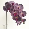 1つのmoth Orchids phalaenopsis ruchid Big Oil Painting Effect蝶の蘭の花10ヘッド/ピース結婚式の装飾的な人工花のため