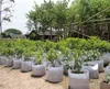 10 Maat optie niet-geweven stof herbruikbaar zachtzijdig zeer ademend kweek potten planten tas met handgrepen goedkope prijs grote bloem planter