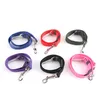 Ny hund husdjursbil Säkerhetsbältesstol Säkerhetsbälte Harness Restraint Lead Justerbar Leash Travel Collar Dog Set Belt