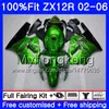 Injectie voor Kawasaki ZX1200 ZX 12R 2002 2003 2004 2005 2006 224hm.29 ZX-12R 12 R 1200CC ZX12R 02 03 04 05 06 Glanzend Groene Kuiken