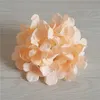 50 Unids 15 CM Hortensia Artificial Cabeza de Flor de Seda Decorativa Para Decoraciones de Boda Accesorios para el Hogar Accesorios Decoración de Fiesta Hortensia Rosa Pared