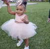 Bonito bebê infantil criança formal vestidos de festa blush rosa ouro lantejoulas arco faixa curto tutu meninas pageant vestidos baratos 20194164876