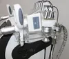 2020 Terapia de criolipólise lipoaspiração não invasiva de redução de gordura dispositivo de congelamento de gordura cavitação rf levantamento de pele crio máquina de emagrecimento