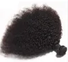 Brasiliani Afro crespi ricci 100% non trasformati capelli umani vergini tesse Estensioni dei capelli umani Remy Tessiture capelli umani tingibili 3 pacchi