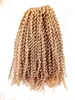Top Quality Brazilian Kinky Curly Human Virgin Remy Hair Bundles Weft Beauty Extensions Dark Blonde Brown Color