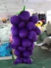 2018 Rabattfabrik Försäljning Grönsaker Mascot Kostymer Komplett Outfits Jul Grape Kostym Vuxen Barnstorlek