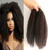 Peruansk Afro Kinky Curly Human Hair 2 Piece Hair Weave Bundlar 10-26 tum Naturfärg Gratis frakt Remy Hair Bundle