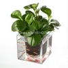 Creative Clear Tube Plant Pot / Flower Pot Dekorativ Självvatten Planter Fisk Tank För Hem Office Desk Gratis frakt