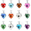 claw print Crystal Heart Memorial Jewelry Stainless Steel Cremation Urn Pendant Necklace urn necklace for ashes