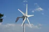 Новые 400W 12V 24V 5 Blades Wind Power Generator Wind Turbinbine с контроллером MPPT Boost