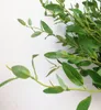 Kunstmatige olijfboom tak stengel faux groen / rood blad 6 stelen / stuk nep groen plant olijf gebladerte