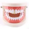 Hip Hop Diamonds rechtopstaande stick Single Tooth Grillz Real Gold Compated Dental Grills Rapper Body Jewelry Halloween Party Golden S9120607