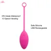 APHRODISIA 10 Vibrations Silicone Egg Shape Bullet Vibrator Sex Toys for Women Recharge Waterproof Vaginal Clitoral Stimulator S1018