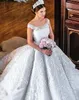 2019 Luxury Expensive Ball Gown Wedding Dresses Sheer Scoop Neck Off the Shoulder Exquisite Appliques Puffy Bridal Gown Free Petticoat