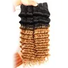 Farbige tiefe Wellenbündel mit Verschluss, honigblondes zweifarbiges Ombre-gefärbtes brasilianisches Jungfrau-Haar, farbige Verlängerung, meistverkaufte Artikel