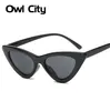 Owl City Occhiali da sole vintage da donna Cat eye Eyewear Designer di marca Occhiali da sole retrò Donna Oculos de sol UV400 Occhiali da sole