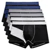 Masculino cueca boxers boxers shorts grandes boxer hombre ropa interior homens roupa interior algodão les boxeurs20019112370566