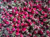 Duftende natürliche tiefrote Rosenknospen Rosenblätter Bio-getrocknete Goldrand-Rosenblüten im Großhandel, kulinarische Lebensmittelqualität