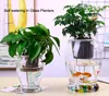 Wholesale orchidee Ademend Slotted Clear Plastic Net Pot Cup, Self Watering Binnenpot in elke Geschikte Glas Planter 3 "/ 4"
