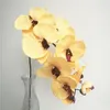 1つのmoth Orchids phalaenopsis ruchid Big Oil Painting Effect蝶の蘭の花10ヘッド/ピース結婚式の装飾的な人工花のため