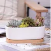 1 set minimalistisk vit keramisk succulent växtpott porslinplanter dekorativt skrivbord blomma kruk heminredning (1 pott + 1 bricka)