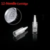 Auto selo Derma Dr Pen com 2 pcs Micro Agulha Cartuchos Dicas Pele Whiten Anti Acne Beleza Spa Salon