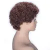 33# 13x4 Lace Front Wigs 6 inch Pre Plucked Peruvian Afro Kinky Curly Human Hair Wig 130% Density