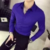 Oxford-overhemden met lange mouwen voor heren, slim-fit, effen kleur, mannelijk, zakelijk, casual, Koreaanse versie, kantoorkleding in Shir2266 voor heren