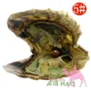 도매 6-7mm 5# 컬러 진공 패키지 Akoya Shell Salt Oyster Pearl Colorful 29 색상에서 선택할 수 있습니다.