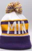2019 Autumn Winter Hat Sports Hats Custom Sticked Cap Phi Team Logo Sideline Cold Weather Knit Hat Warm Philadelphia Beanie Skull 4433715