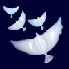 Helium inflatable biodegradable white Dove Balloons for wedding favor party decoration bio balloons Free Shipping LX3350