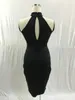 Mouwloze Midi Bodycon Jurk Backless Sexy Club Dragen Elegante Mesh Party Jurken Black Summer S-XL