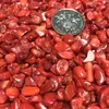 DingSheng Natural Red Coral Cascalho De Cristal De Jade Quartzo Caído Pedra Minerais Do Oceano Chips Para O Presente Deco